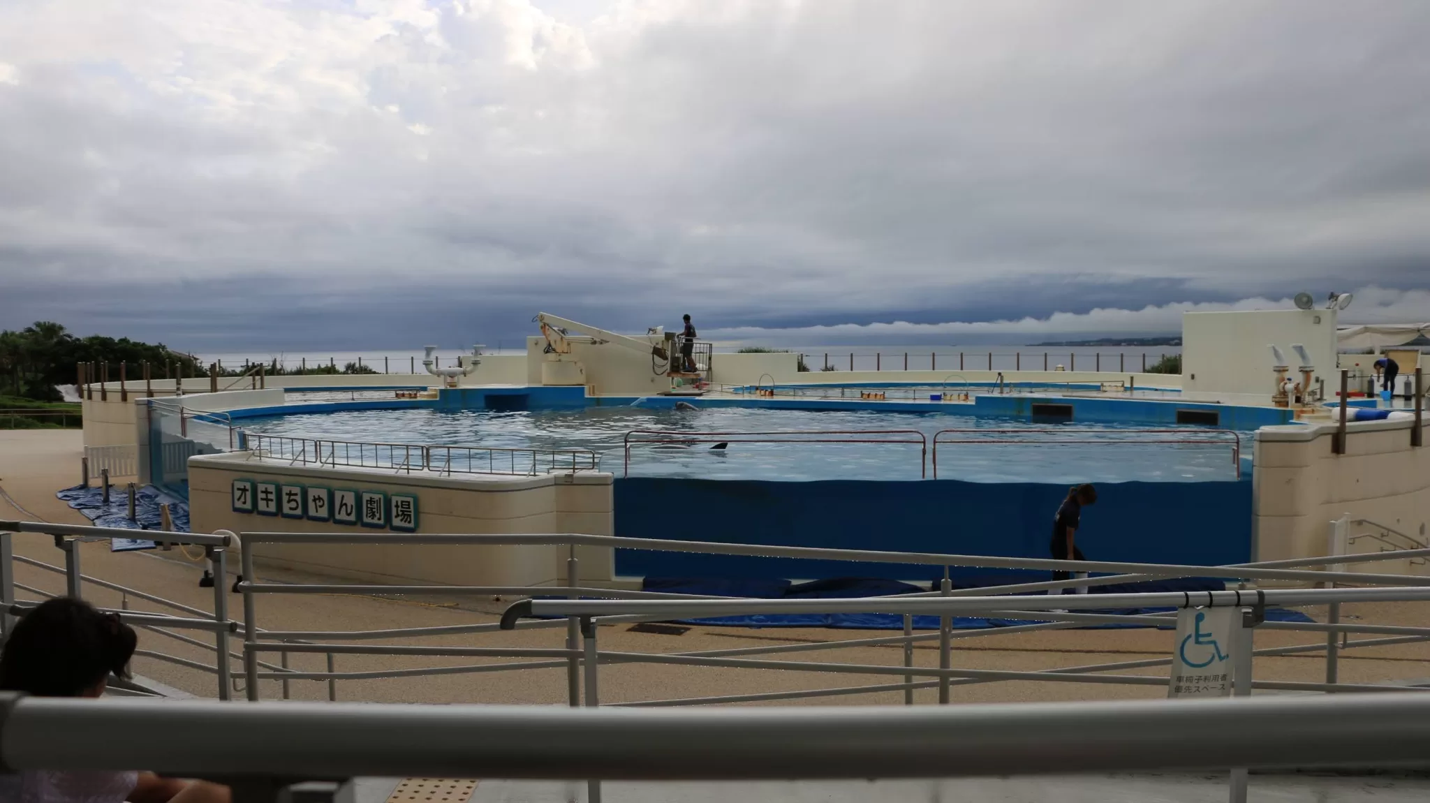 Okichan Theater at Ocean Expo Park, the open-air dolphin pool facing the sea