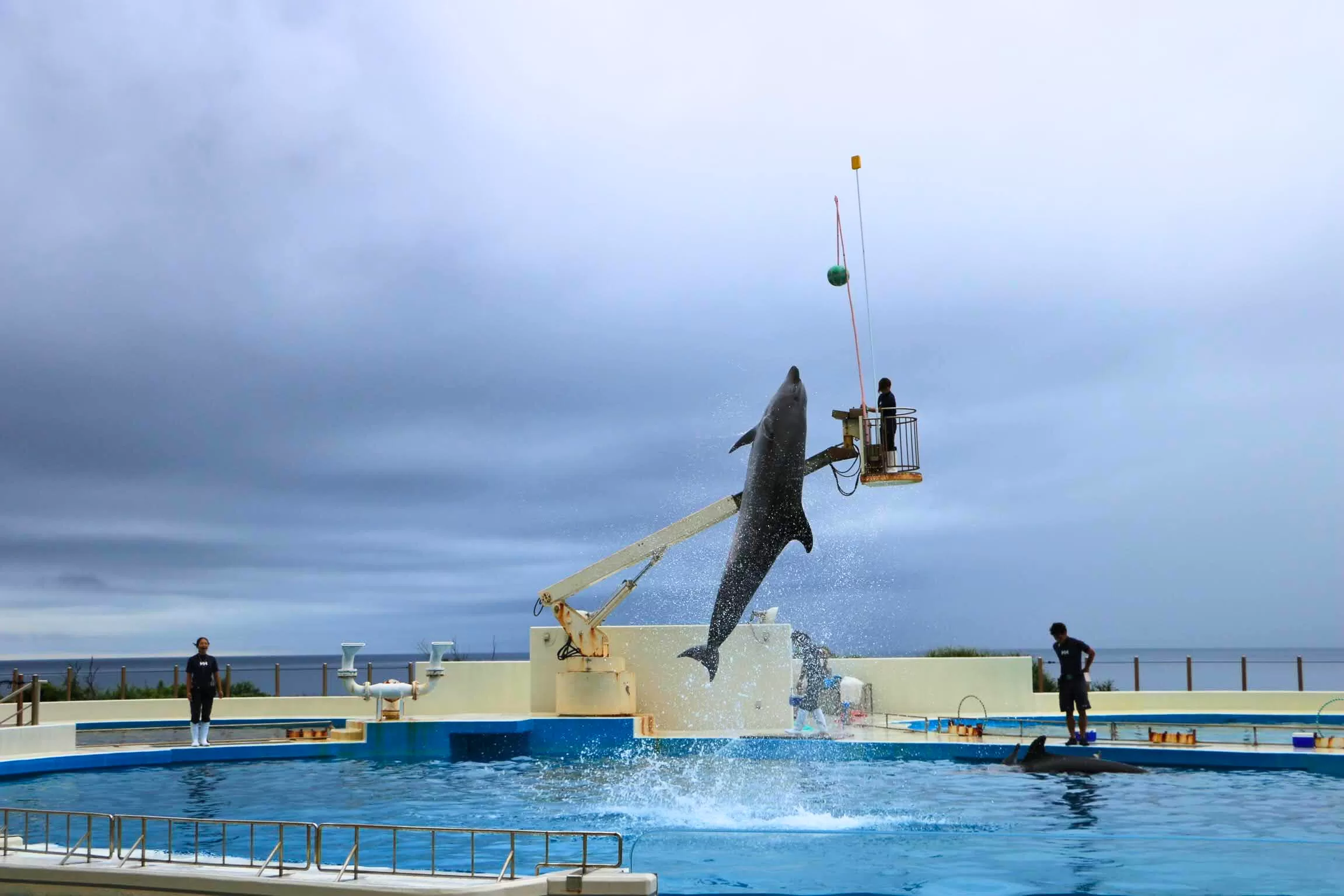 Ocean Expo Park in Motobu