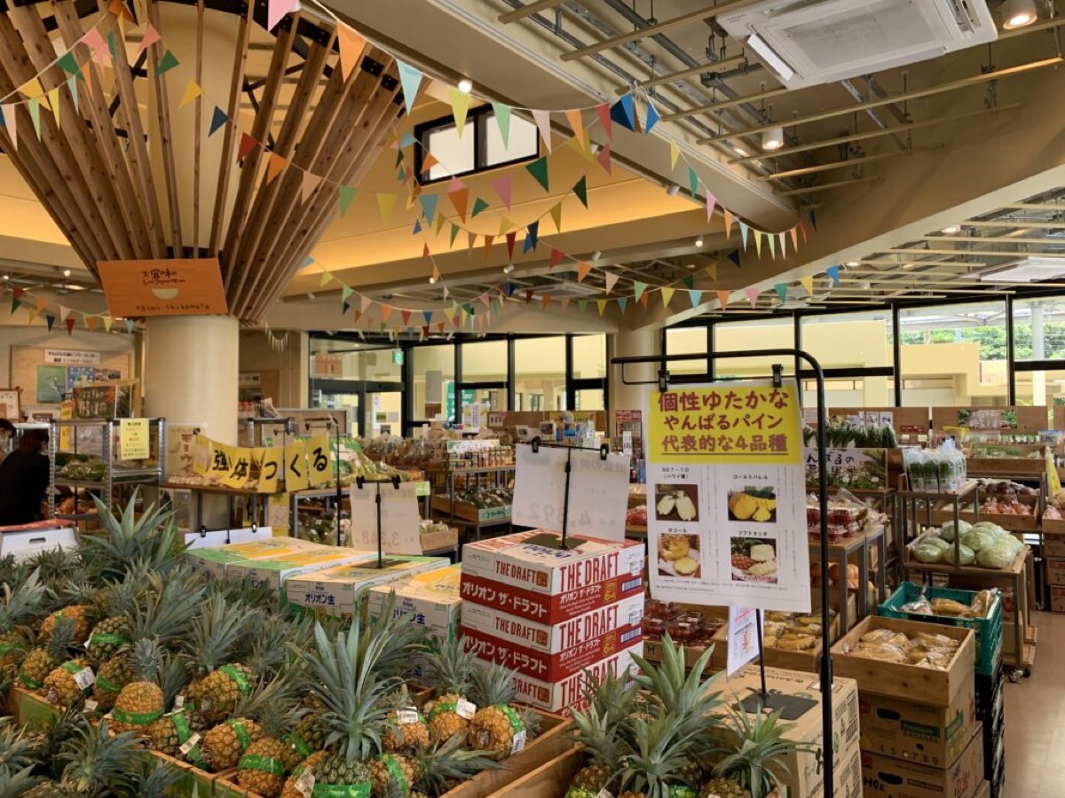 Yanbaru pineapples stacked in the Gajumaru-kan market hall at Michi-no-Eki Ogimi