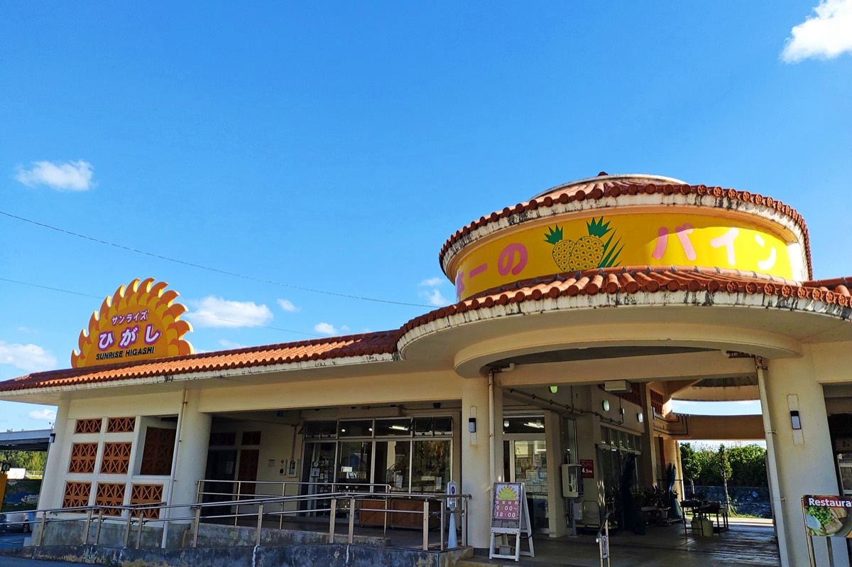 道の駅サンライズひがしの建物。パイナップルを描いた丸い屋根