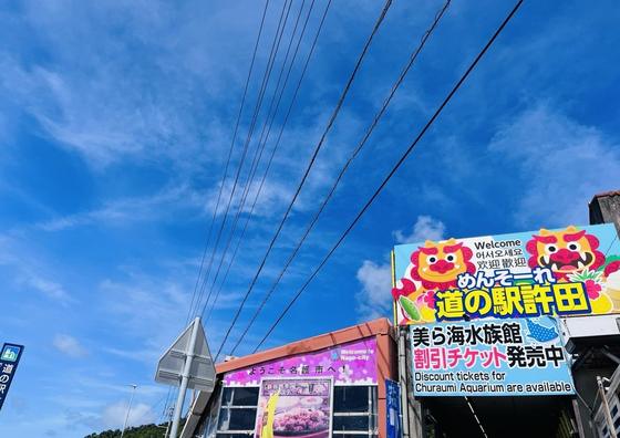 美ら海水族館のチケット